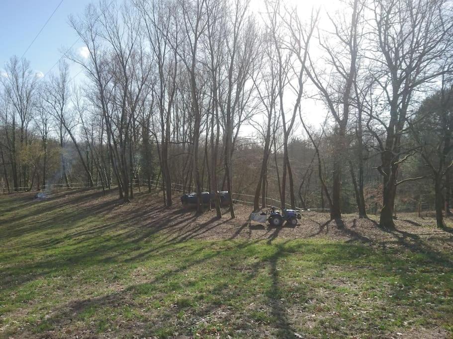 Location Meublee Au Milieu D'Un Ecrin De Verdure Aux Vieux Fours Noaillac Exterior photo