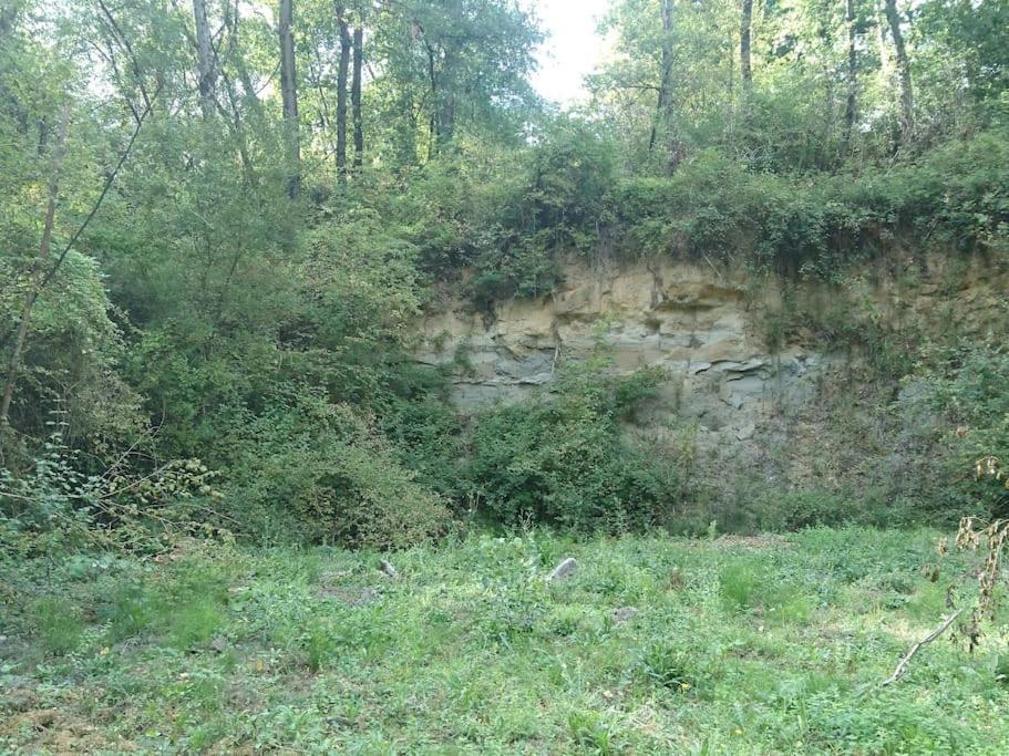 Location Meublee Au Milieu D'Un Ecrin De Verdure Aux Vieux Fours Noaillac Exterior photo