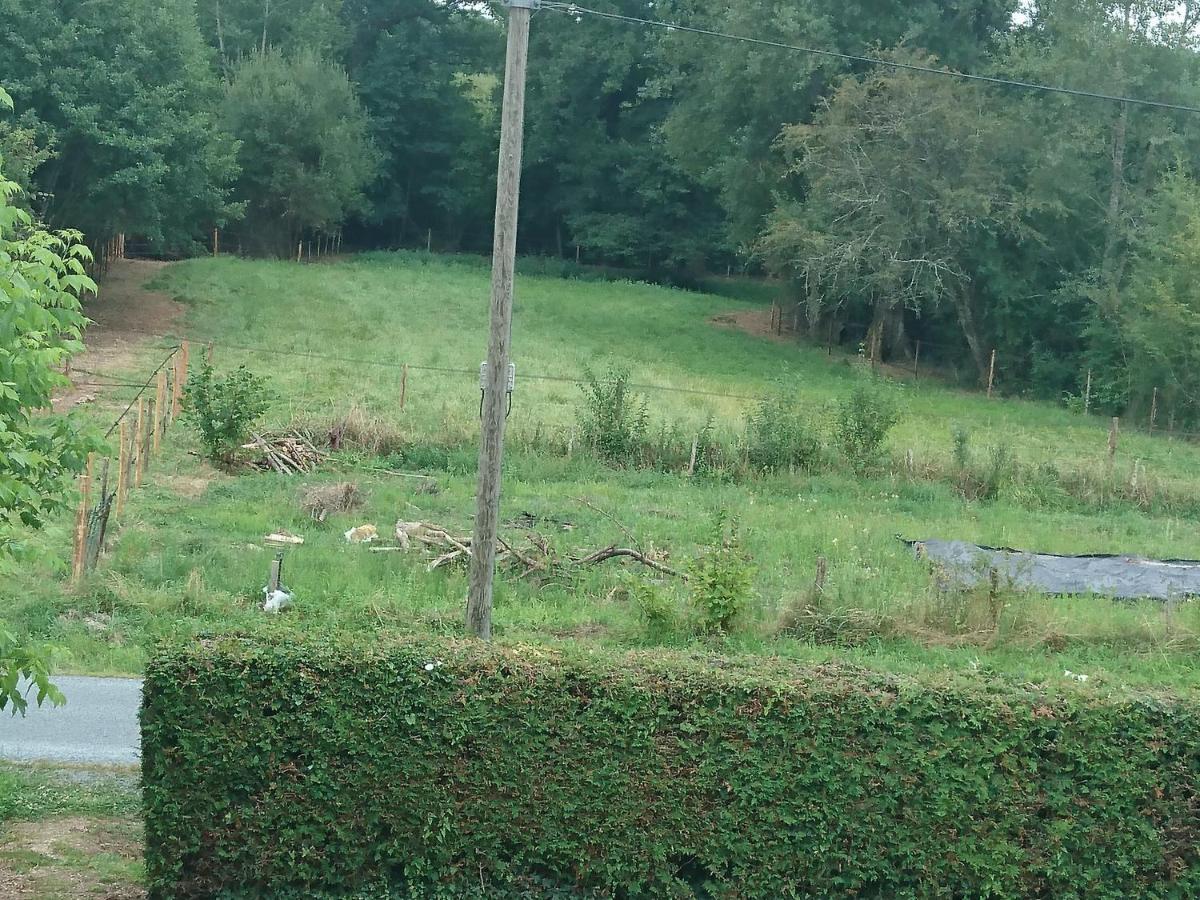 Location Meublee Au Milieu D'Un Ecrin De Verdure Aux Vieux Fours Noaillac Exterior photo